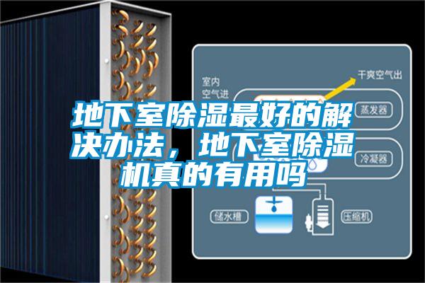 地下室除湿最好的解决办法，地下室好色先生污污版真的有用吗