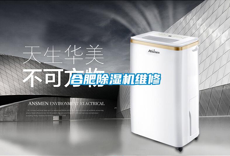 合肥好色先生污污版维修