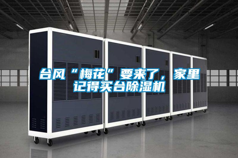 台风“梅花”要来了，家里记得买台好色先生污污版