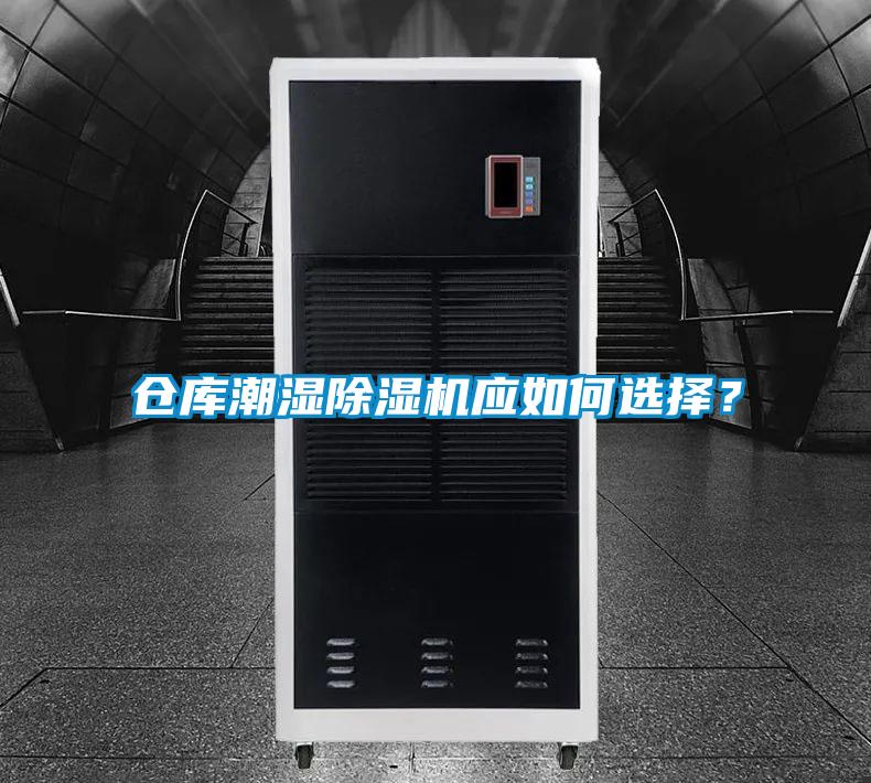 仓库潮湿好色先生污污版应如何选择？