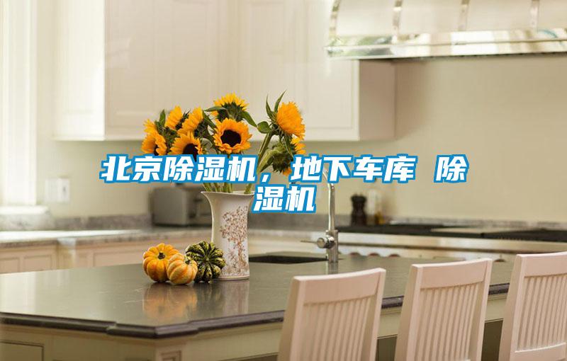 北京好色先生污污版，地下车库 好色先生污污版