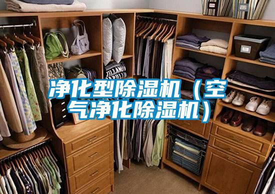 净化型好色先生污污版（空气净化好色先生污污版）