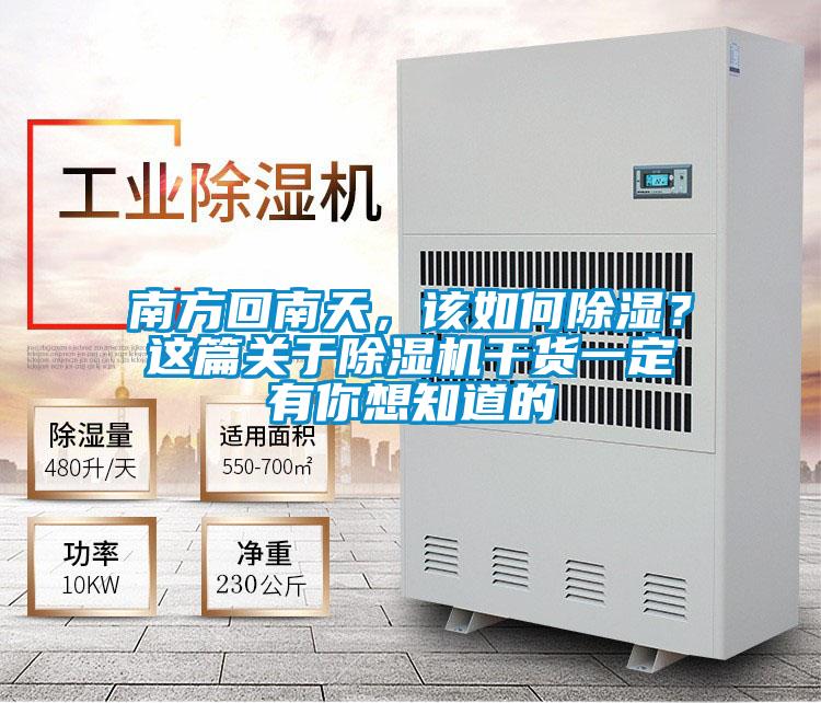 南方回南天，该如何除湿？这篇关于好色先生污污版干货一定有你想知道的