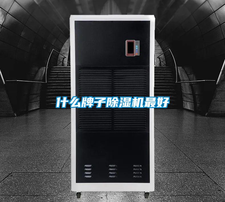 什么牌子好色先生污污版最好