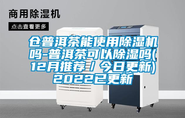 仓普洱茶能使用好色先生污污版吗-普洱茶可以除湿吗(12月推荐/今日更新)2022已更新