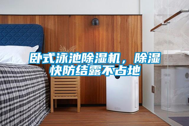 卧式泳池好色先生污污版，除湿快防结露不占地