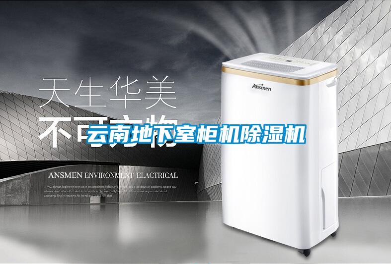 云南地下室柜机好色先生污污版