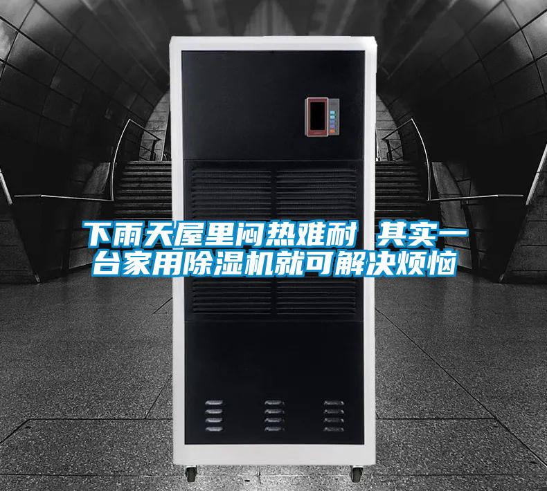 下雨天屋里闷热难耐 其实一台家用好色先生污污版就可解决烦恼