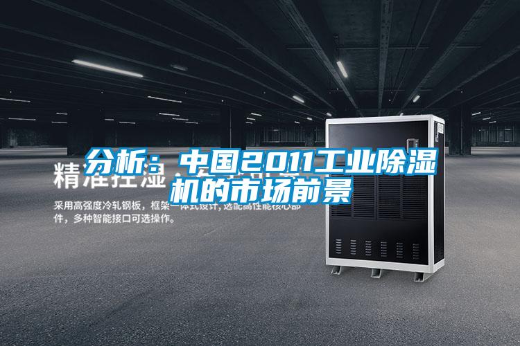 分析：中国2011工业好色先生污污版的市场前景