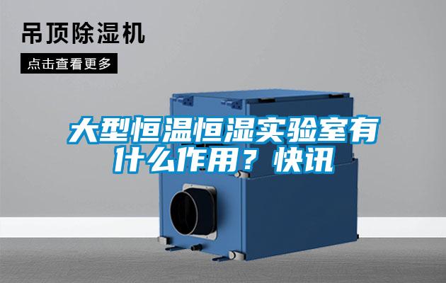 大型恒温恒湿实验室有什么作用？快讯