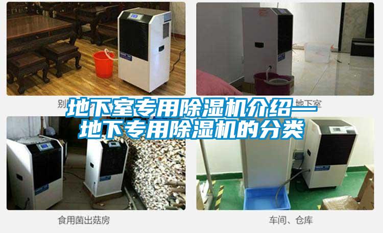 地下室专用好色先生污污版介绍—地下专用好色先生污污版的分类