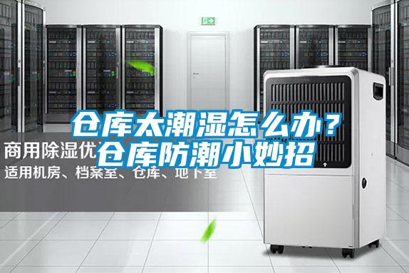 仓库太潮湿怎么办？仓库防潮小妙招