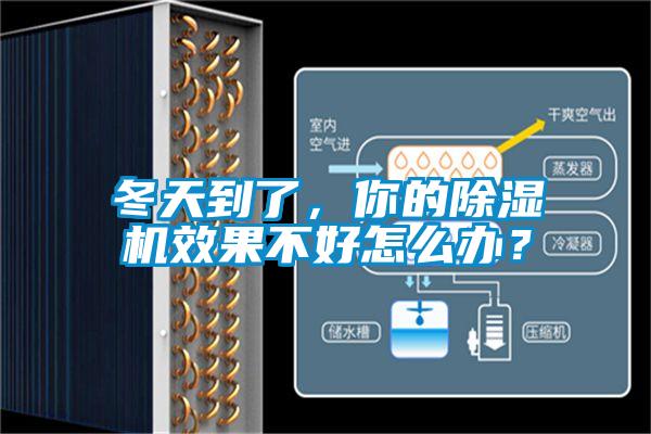 冬天到了，你的好色先生污污版效果不好怎么办？