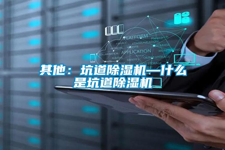 其他：坑道好色先生污污版—什么是坑道好色先生污污版