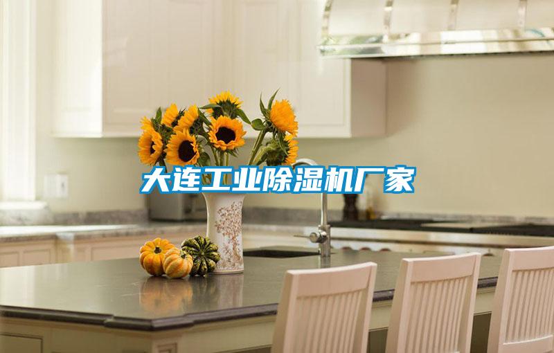 大连工业好色先生污污版厂家