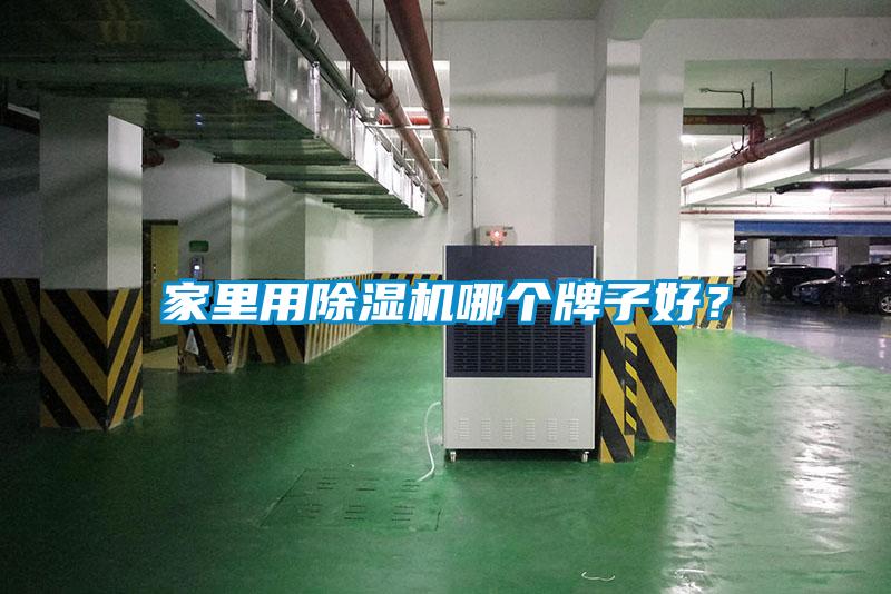 家里用好色先生污污版哪个牌子好？