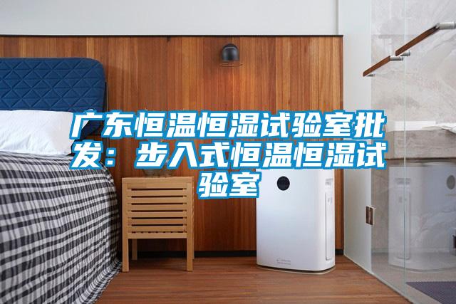 广东恒温恒湿试验室批发：步入式恒温恒湿试验室