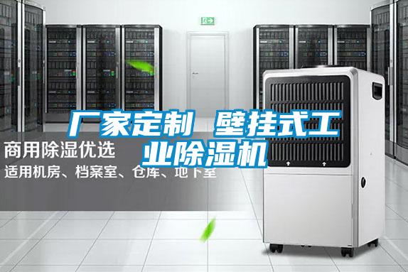 厂家定制 壁挂式工业好色先生污污版