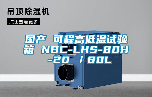 国产 可程高低温试验箱 NBC-LHS-80H -20℃/80L