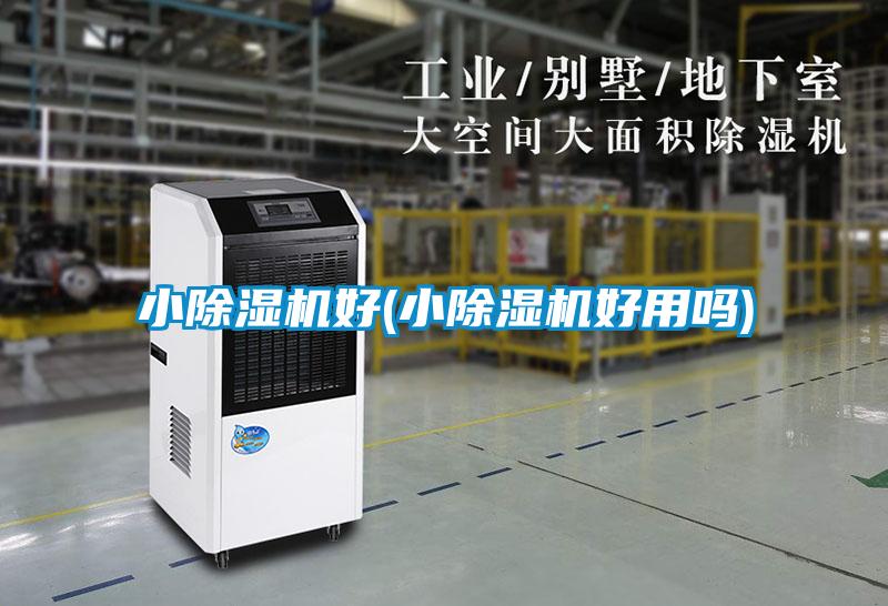 小好色先生污污版好(小好色先生污污版好用吗)