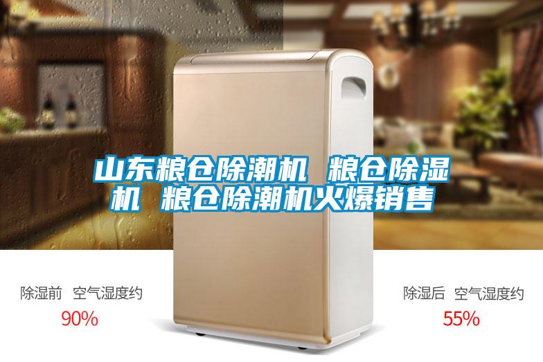 山东粮仓除潮机 粮仓好色先生污污版 粮仓除潮机火爆销售