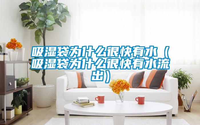 吸湿袋为什么很快有水(吸湿袋为什么很快有水流出)