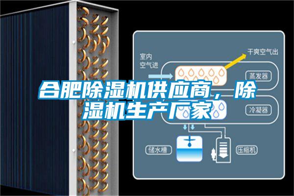 合肥好色先生污污版供应商，好色先生污污版生产厂家