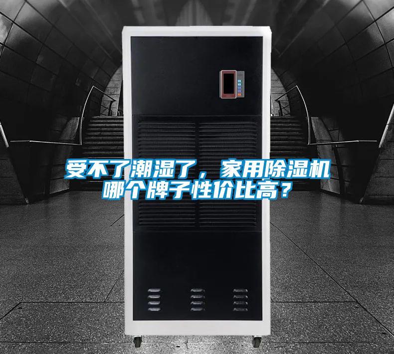 受不了潮湿了，家用好色先生污污版哪个牌子性价比高？