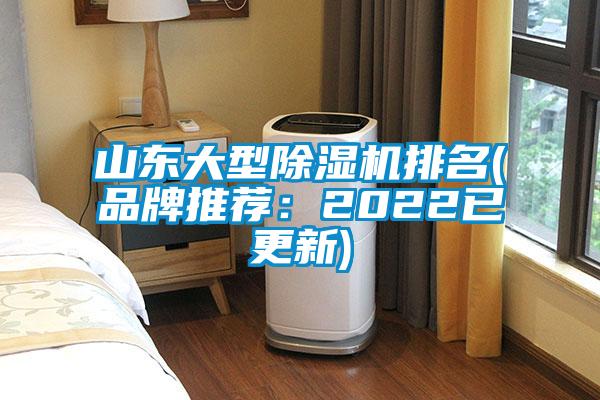 山东大型好色先生污污版排名(品牌推荐：2022已更新)