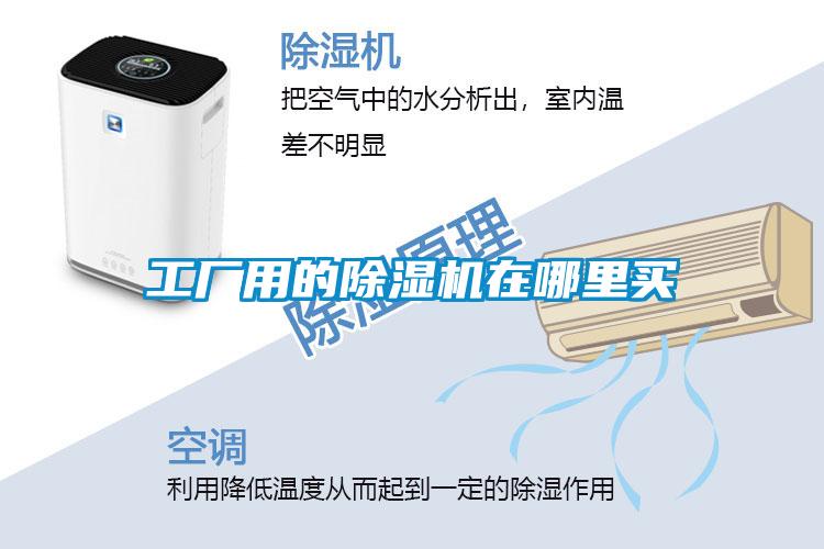 工厂用的好色先生污污版在哪里买