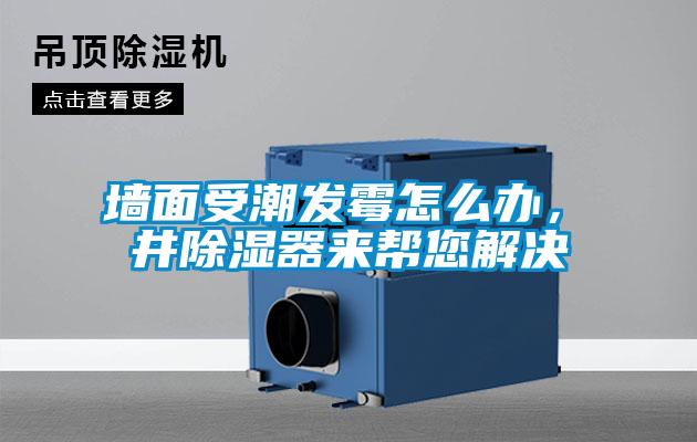 墙面受潮发霉怎么办，東井除湿器来帮您解决