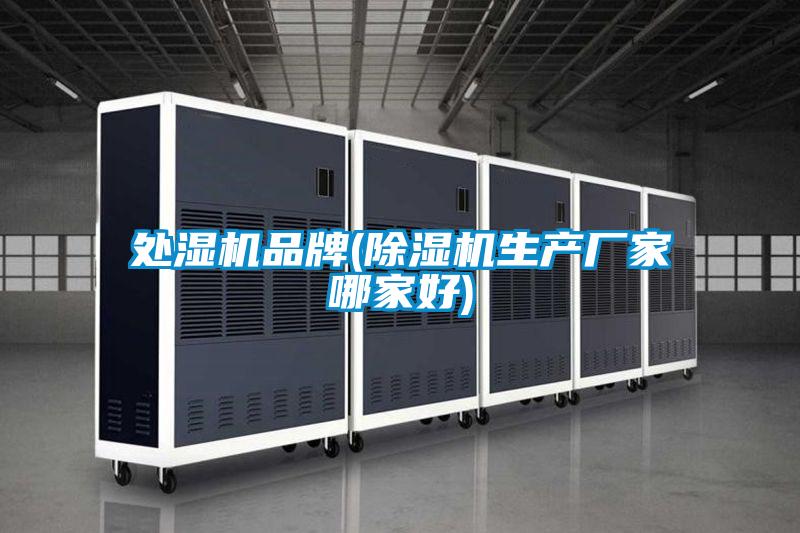 处湿机品牌(好色先生污污版生产厂家哪家好)