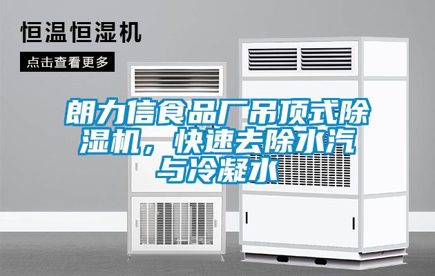 朗力信食品厂吊顶式好色先生污污版，快速去除水汽与冷凝水