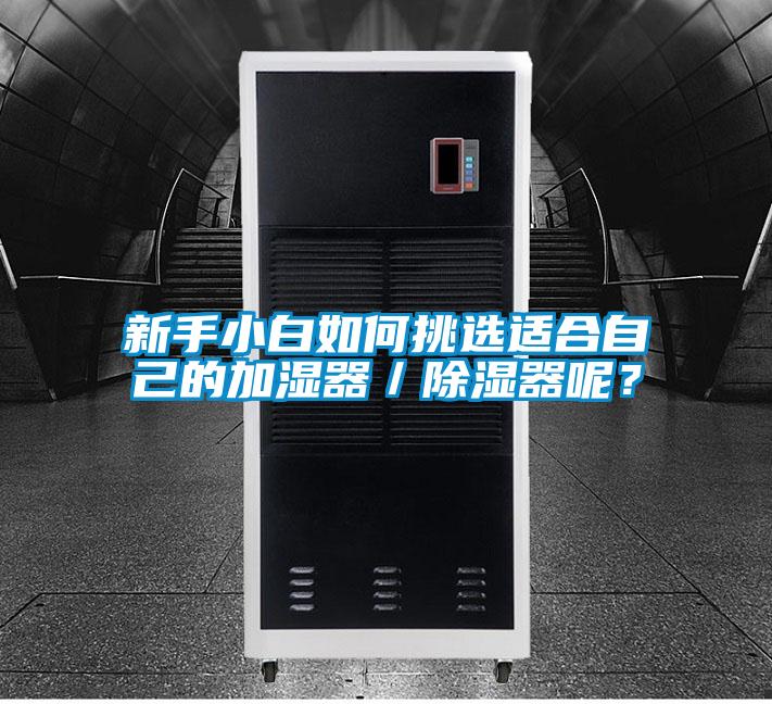 新手小白如何挑选适合自己的加湿器／除湿器呢？