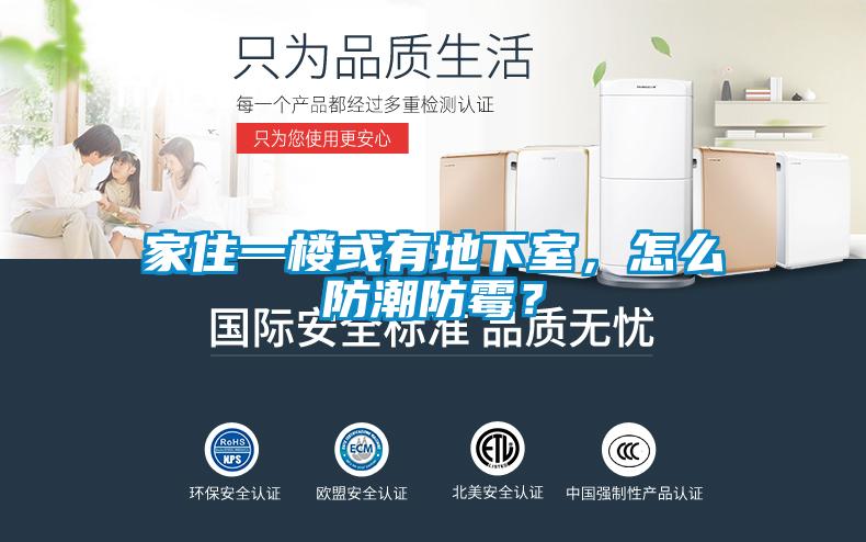 家住一楼或有地下室，怎么防潮防霉？