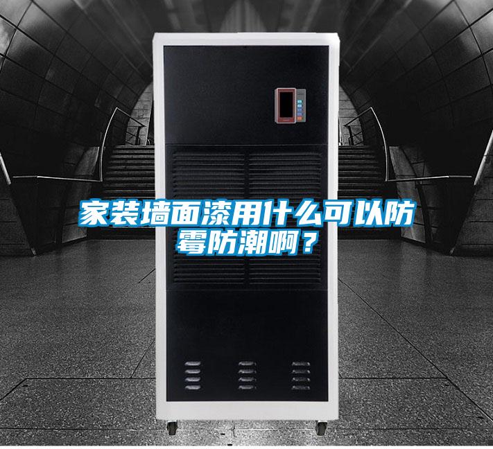 家装墙面漆用什么可以防霉防潮啊？