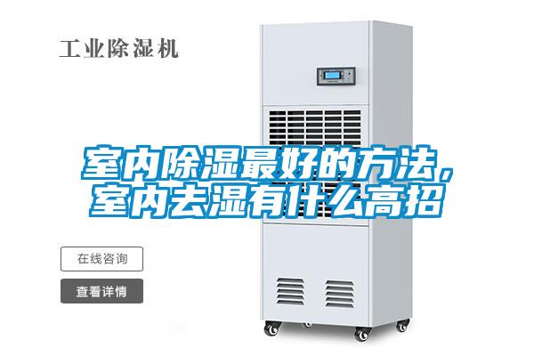 室内除湿最好的方法，室内去湿有什么高招