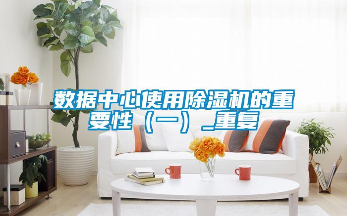 数据中心使用好色先生污污版的重要性（一）_重复