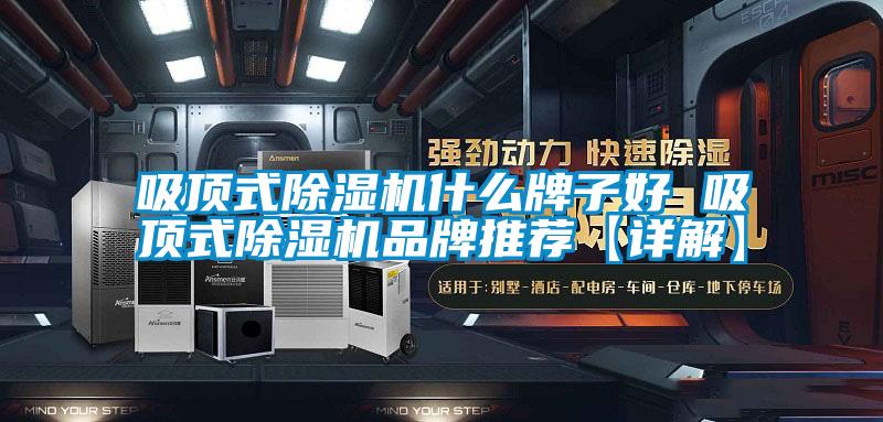 吸顶式好色先生污污版什么牌子好 吸顶式好色先生污污版品牌推荐【详解】