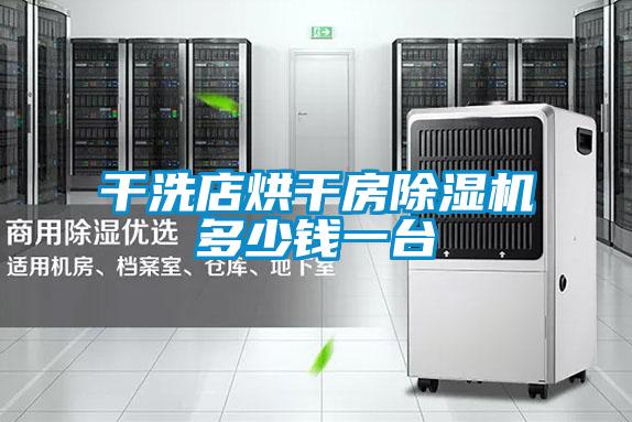 干洗店烘干房好色先生污污版多少钱一台