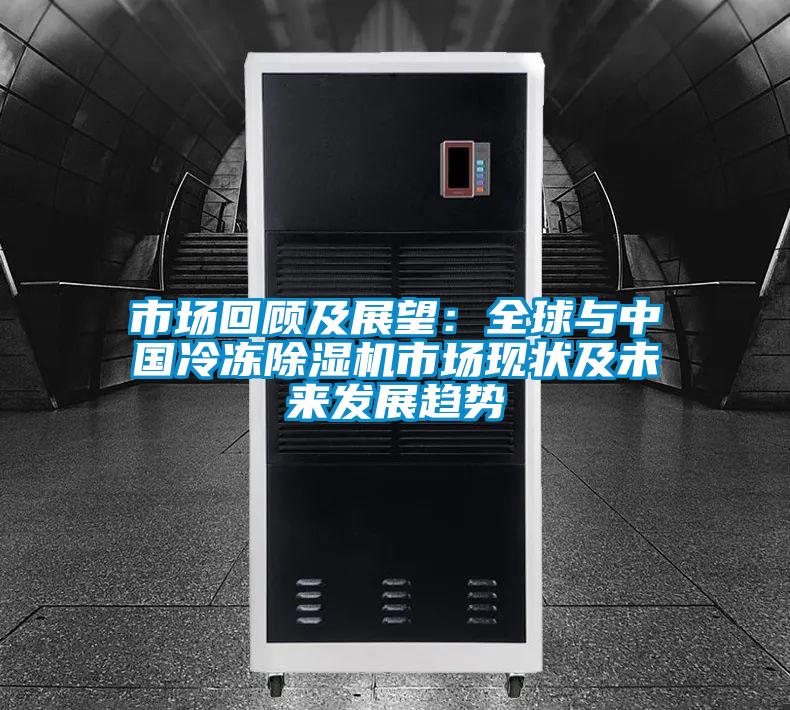 市场回顾及展望：全球与中国冷冻好色先生污污版市场现状及未来发展趋势