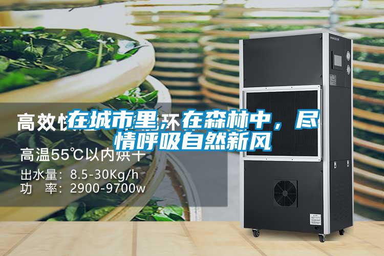 在城市里，在森林中，尽情呼吸自然新风