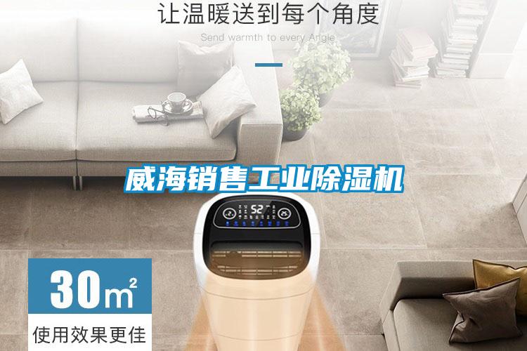 威海销售工业好色先生污污版