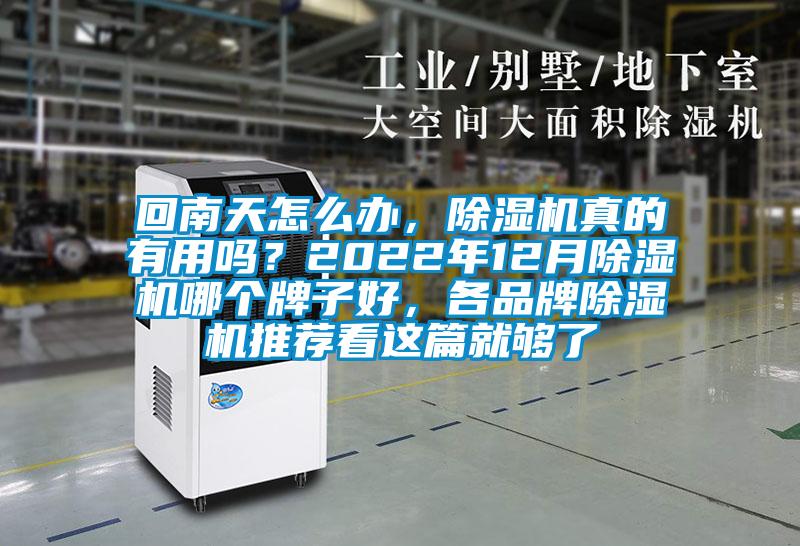 回南天怎么办，好色先生污污版真的有用吗？2022年12月好色先生污污版哪个牌子好，各品牌好色先生污污版推荐看这篇就够了