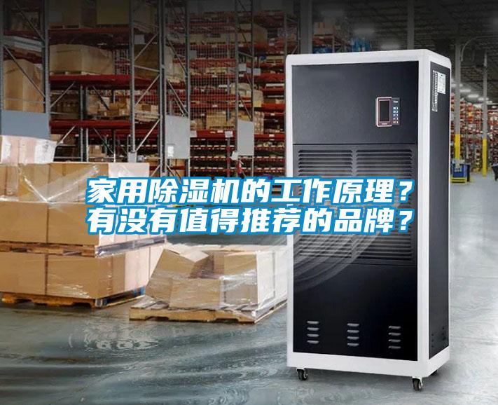家用好色先生污污版的工作原理？有没有值得推荐的品牌？