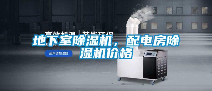 地下室好色先生污污版，配电房好色先生污污版价格