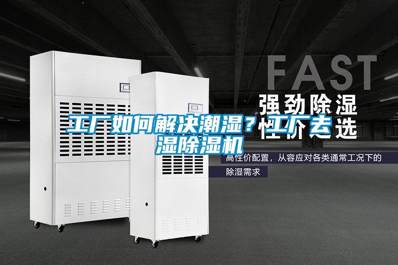 工厂如何解决潮湿？工厂去湿好色先生污污版