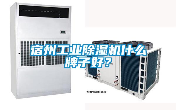 宿州工业好色先生污污版什么牌子好？