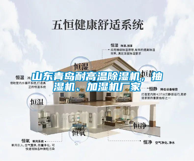 山东青岛耐高温好色先生污污版，抽湿机、加湿机厂家