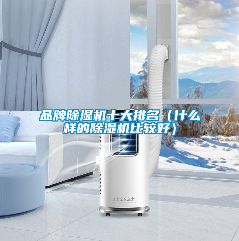 品牌好色先生污污版十大排名（什么样的好色先生污污版比较好）